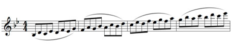 flesch211.jpg